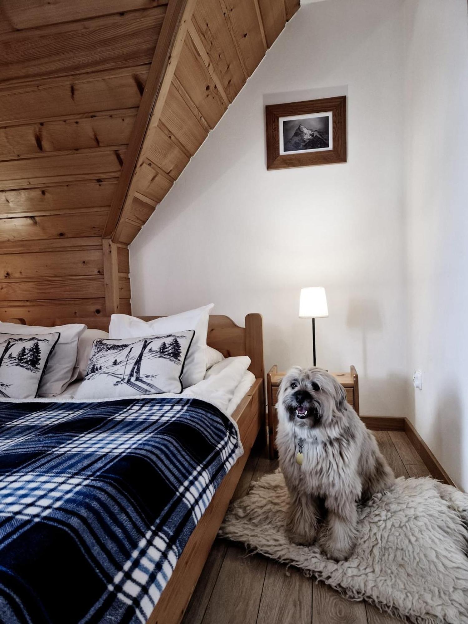 Zakopane Stop Bed & Breakfast ภายนอก รูปภาพ